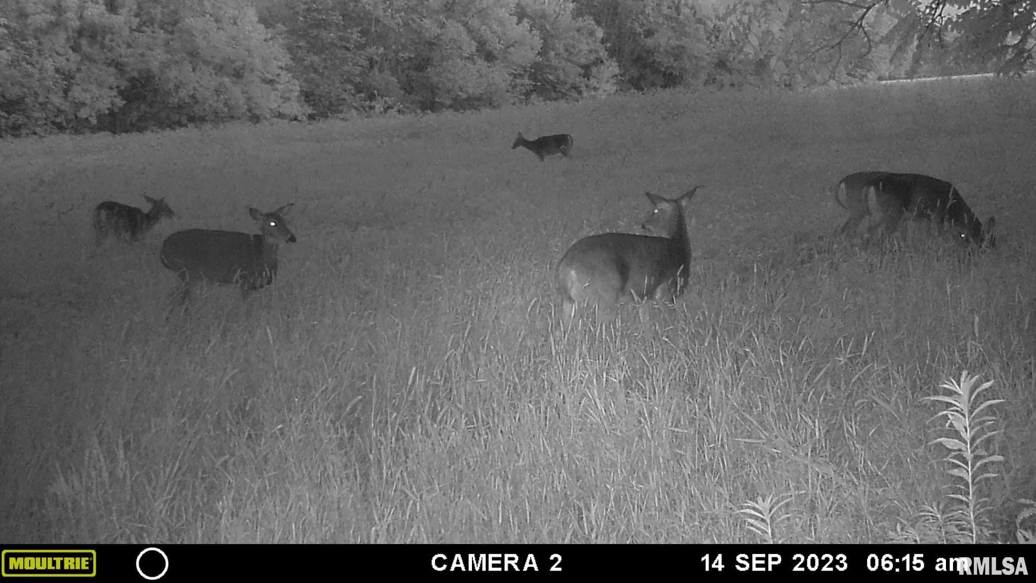 0 North Indian Trail Road Canton, IL 61520 - Photo 14 of 100