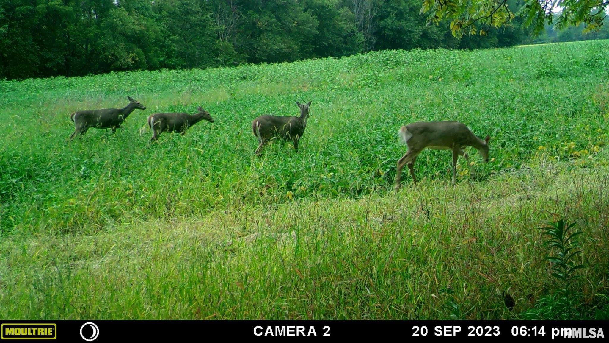 0 North Indian Trail Road Canton, IL 61520 - Photo 15 of 100