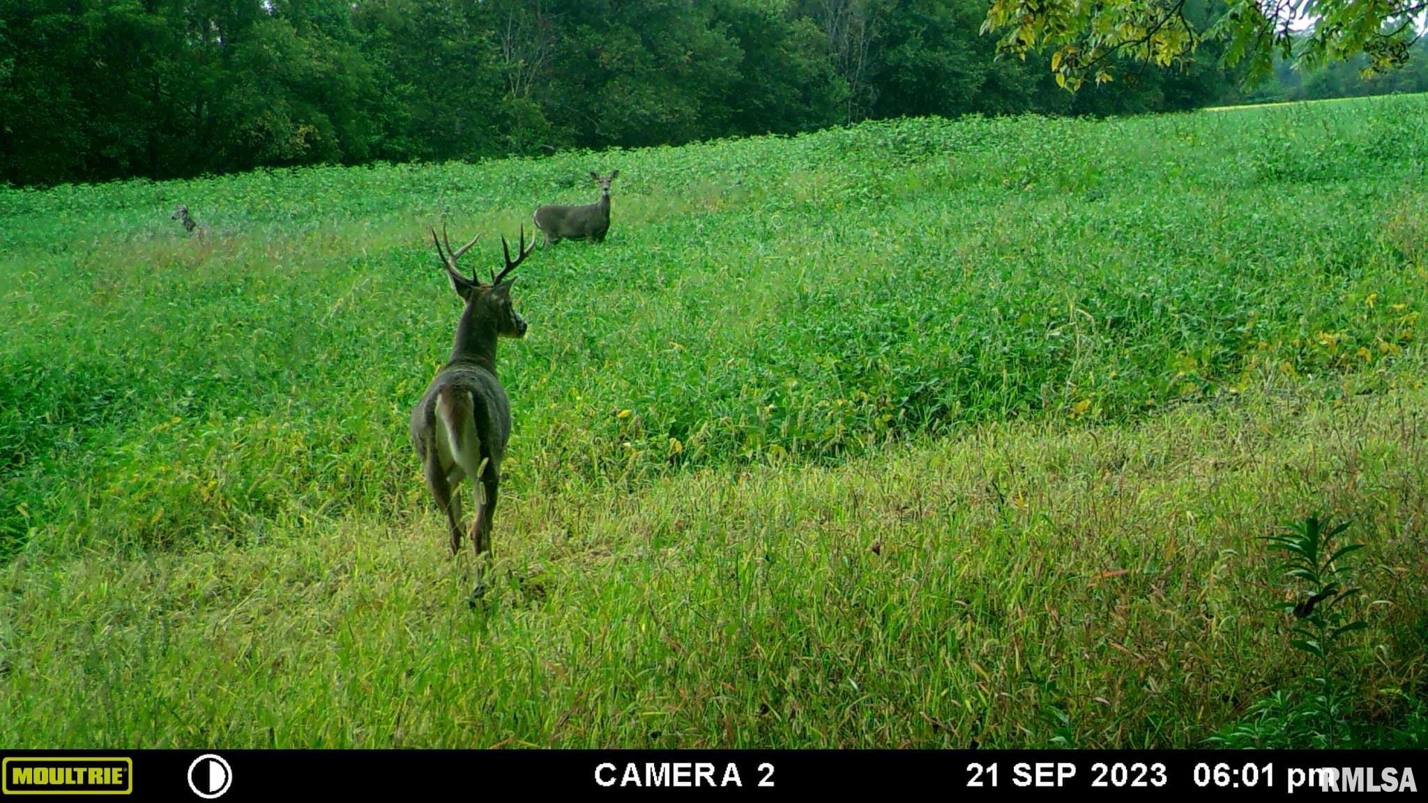 0 North Indian Trail Road Canton, IL 61520 - Photo 16 of 100