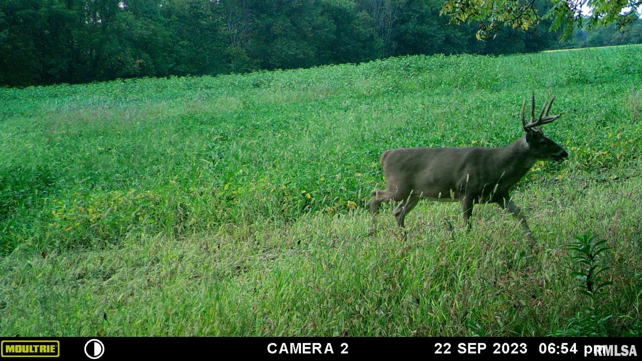 0 North Indian Trail Road Canton, IL 61520 - Photo 17 of 100