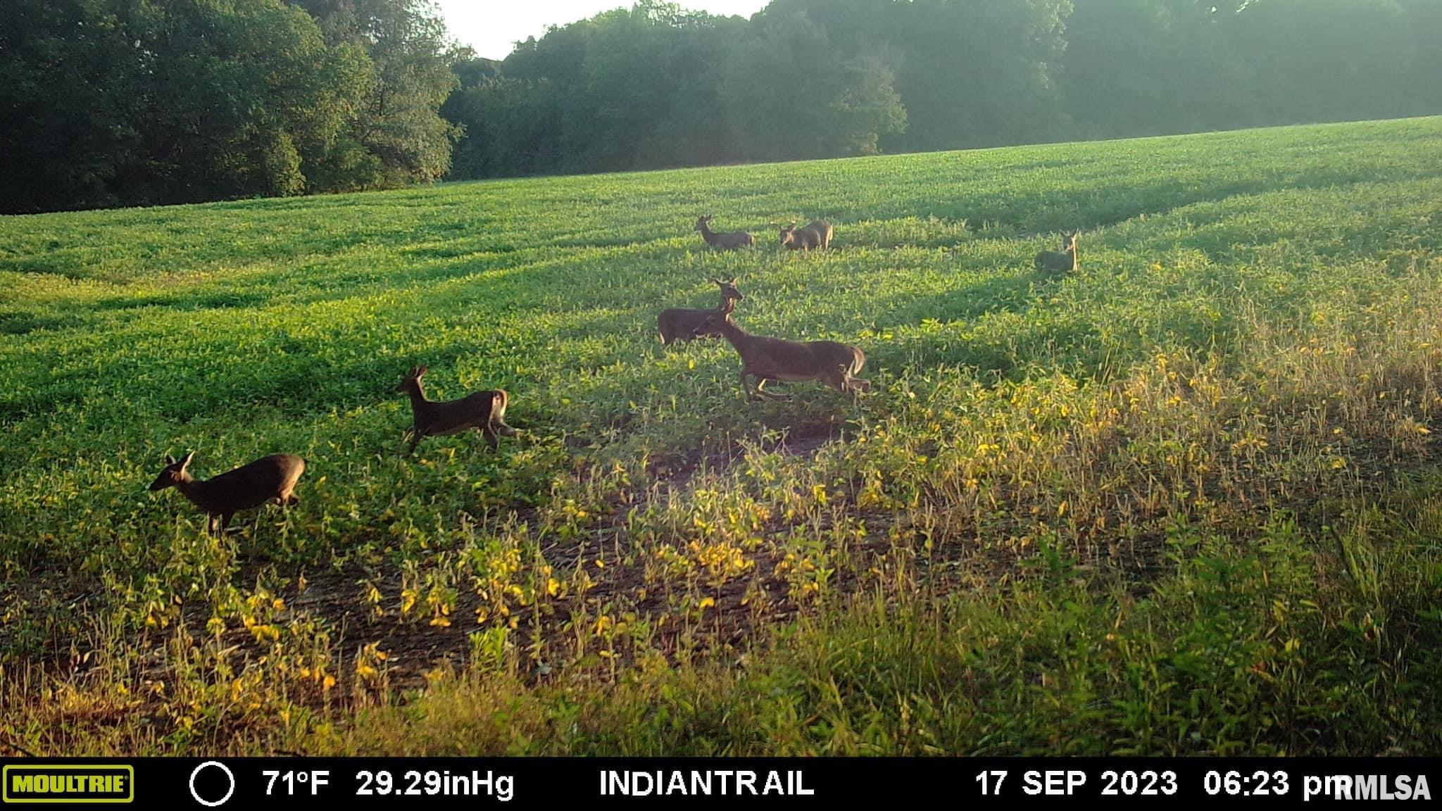 0 North Indian Trail Road Canton, IL 61520 - Photo 18 of 100