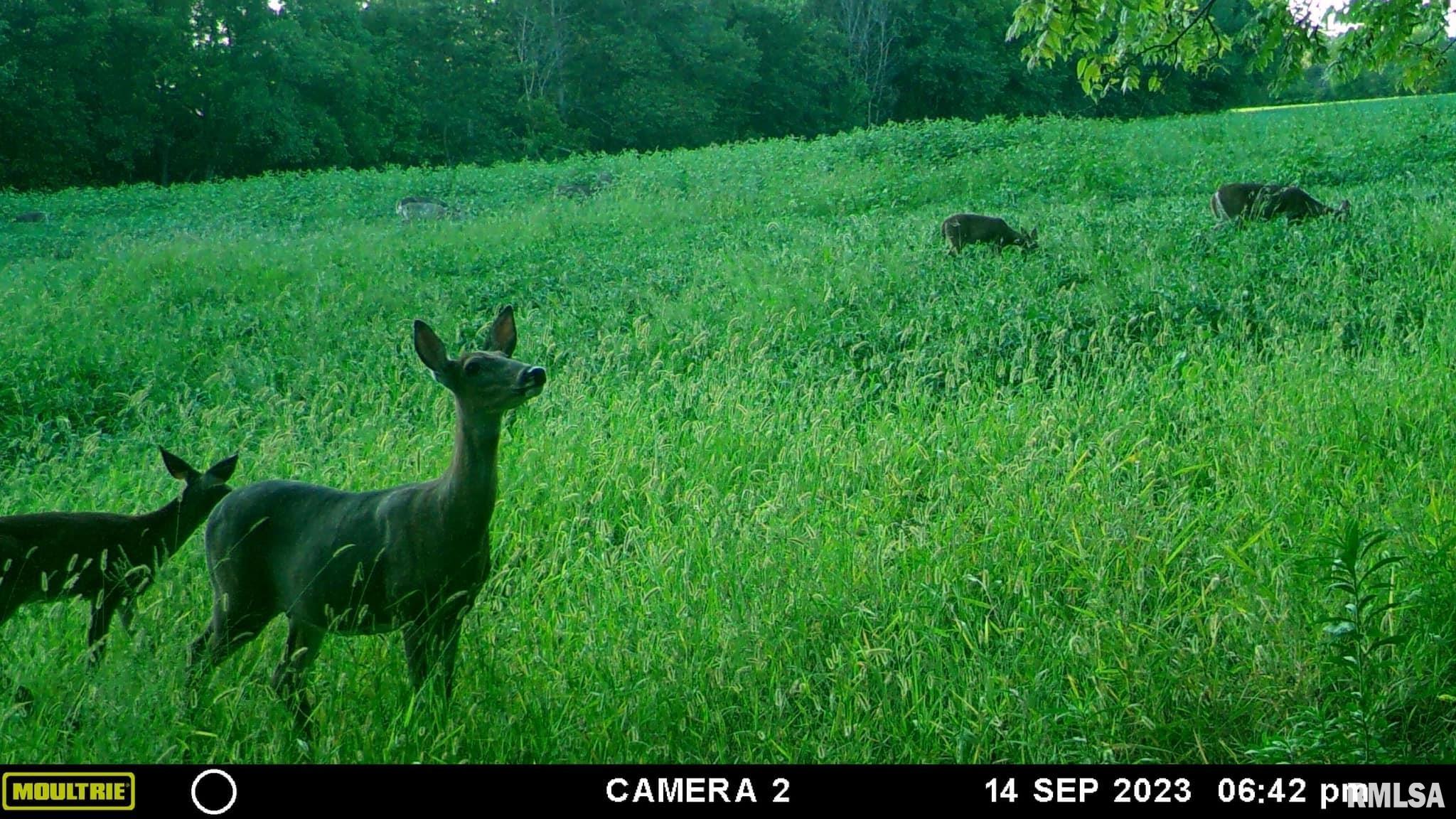 0 North Indian Trail Road Canton, IL 61520 - Photo 19 of 100