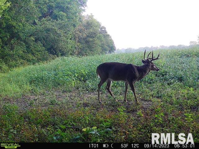 0 North Indian Trail Road Canton, IL 61520 - Photo 20 of 100