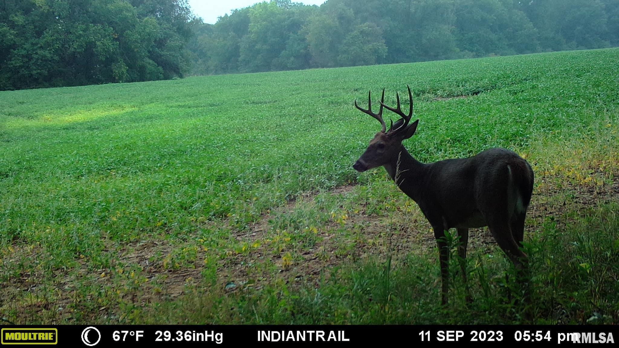 0 North Indian Trail Road Canton, IL 61520 - Photo 21 of 100