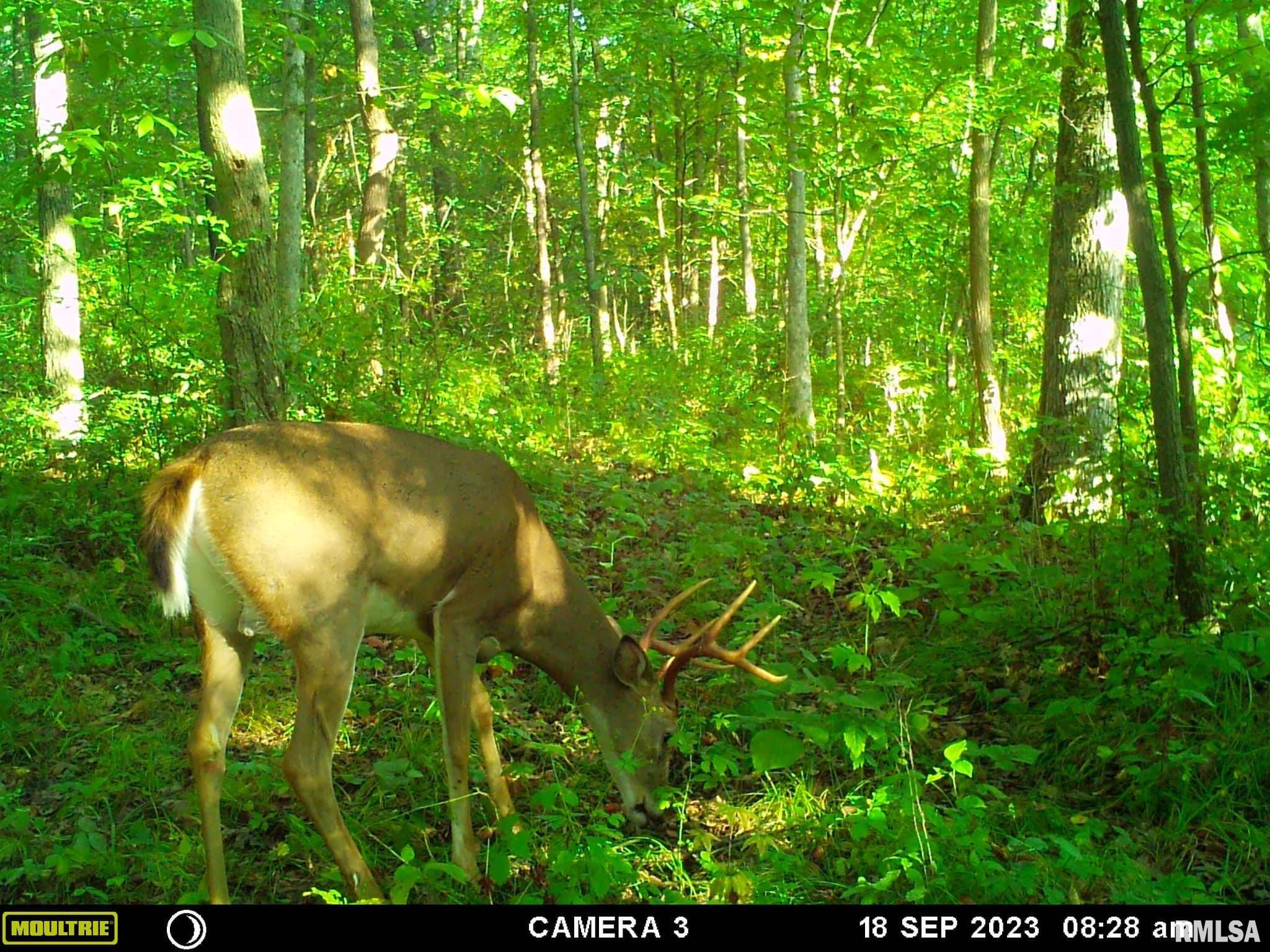 0 North Indian Trail Road Canton, IL 61520 - Photo 22 of 100