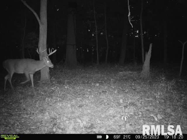 0 North Indian Trail Road Canton, IL 61520 - Photo 23 of 100