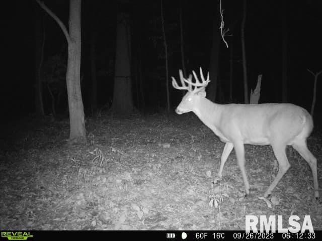 0 North Indian Trail Road Canton, IL 61520 - Photo 24 of 100