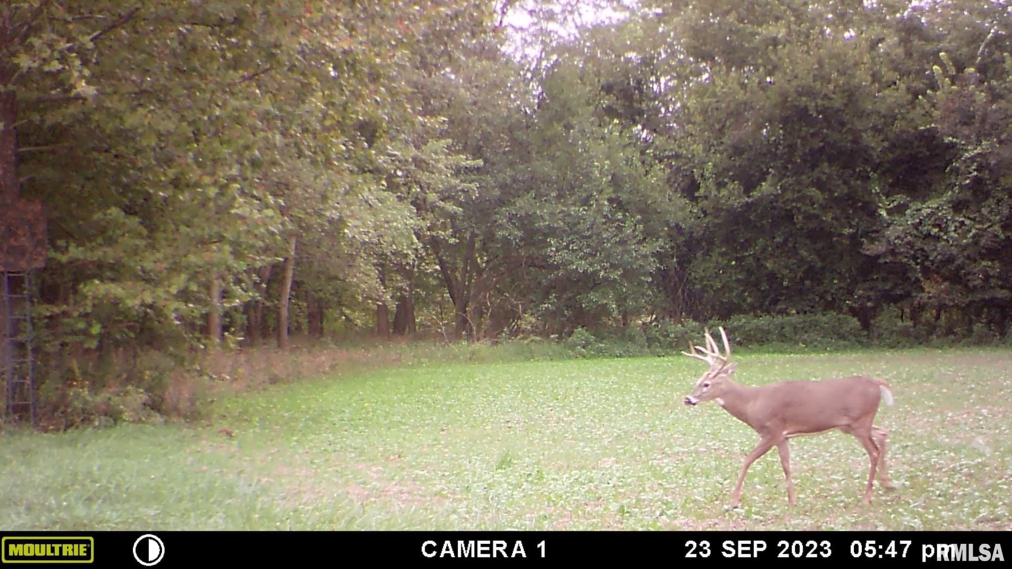 0 North Indian Trail Road Canton, IL 61520 - Photo 25 of 100