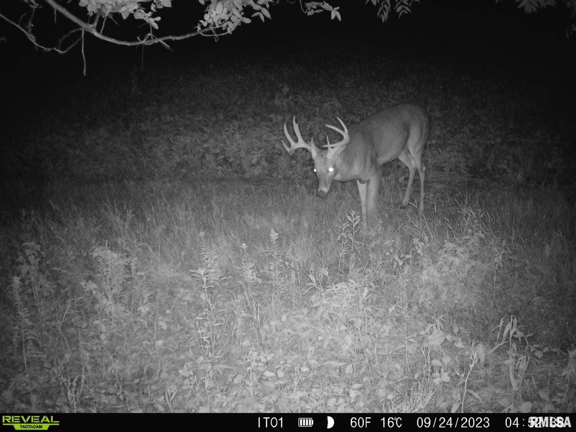 0 North Indian Trail Road Canton, IL 61520 - Photo 26 of 100