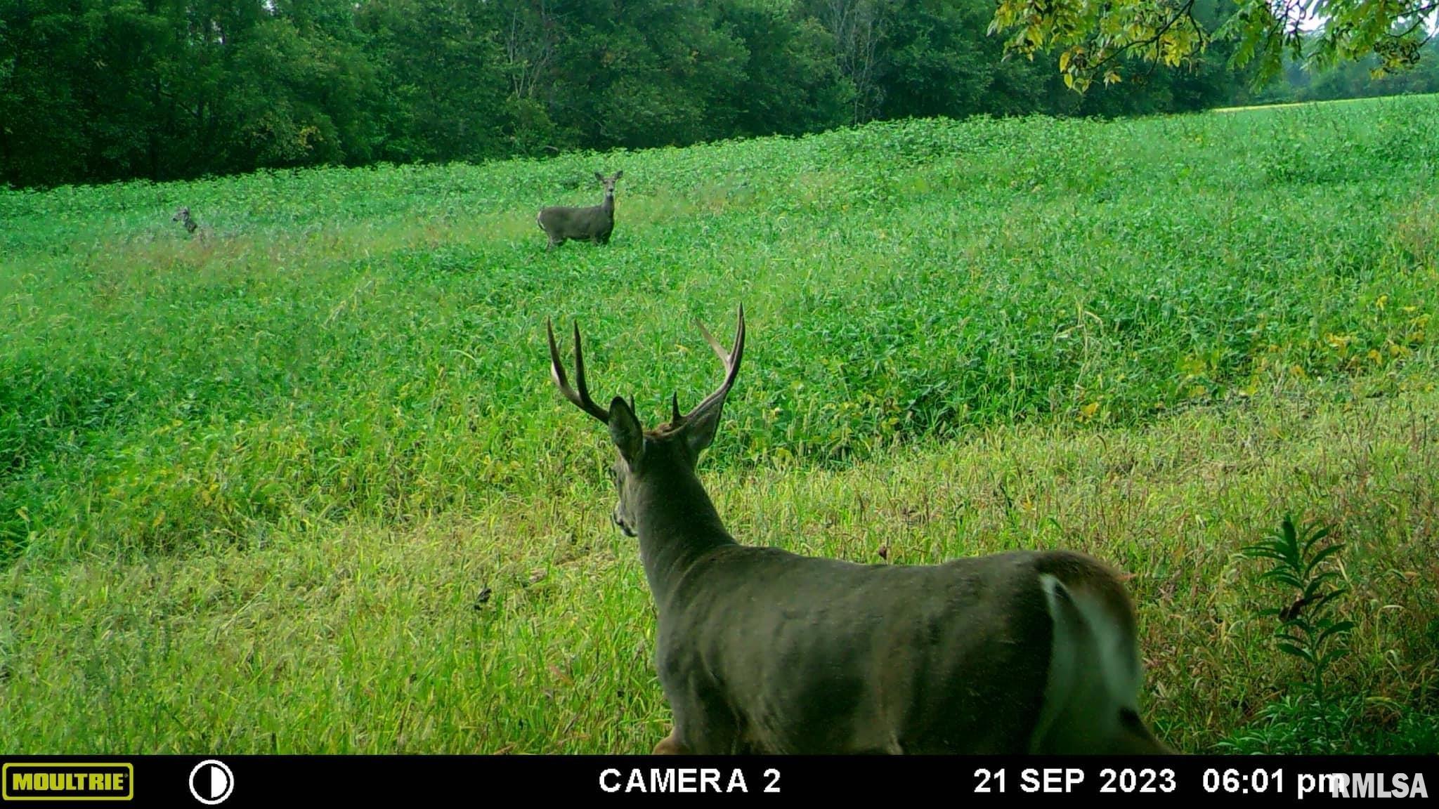 0 North Indian Trail Road Canton, IL 61520 - Photo 27 of 100