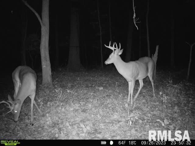 0 North Indian Trail Road Canton, IL 61520 - Photo 31 of 100