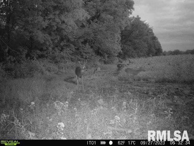 0 North Indian Trail Road Canton, IL 61520 - Photo 32 of 100