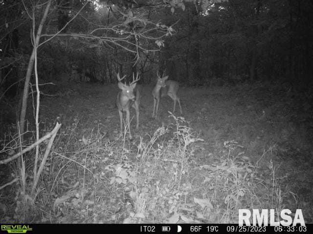 0 North Indian Trail Road Canton, IL 61520 - Photo 33 of 100
