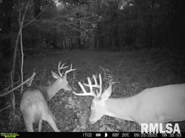 0 North Indian Trail Road Canton, IL 61520 - Photo 35 of 100