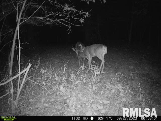 0 North Indian Trail Road Canton, IL 61520 - Photo 36 of 100
