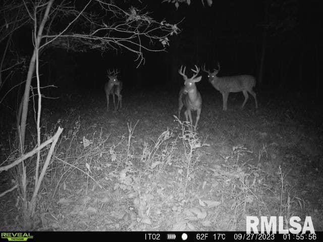 0 North Indian Trail Road Canton, IL 61520 - Photo 37 of 100