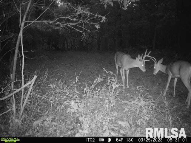 0 North Indian Trail Road Canton, IL 61520 - Photo 38 of 100