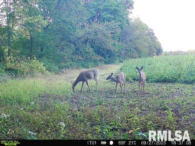 0 North Indian Trail Road Canton, IL 61520 - Photo 39 of 100