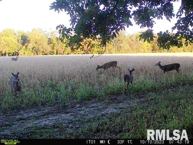 0 North Indian Trail Road Canton, IL 61520 - Photo 40 of 100