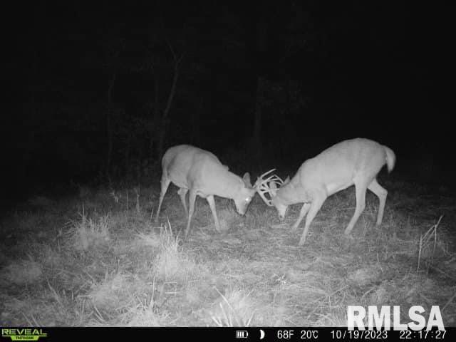 0 North Indian Trail Road Canton, IL 61520 - Photo 41 of 100
