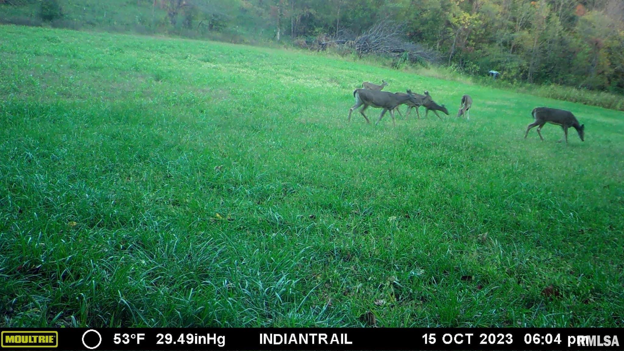 0 North Indian Trail Road Canton, IL 61520 - Photo 43 of 100