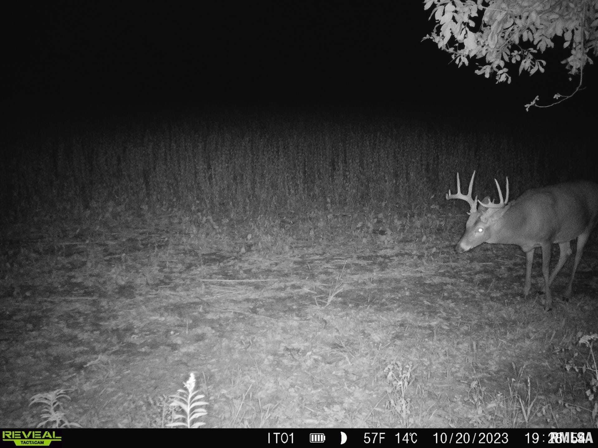 0 North Indian Trail Road Canton, IL 61520 - Photo 45 of 100
