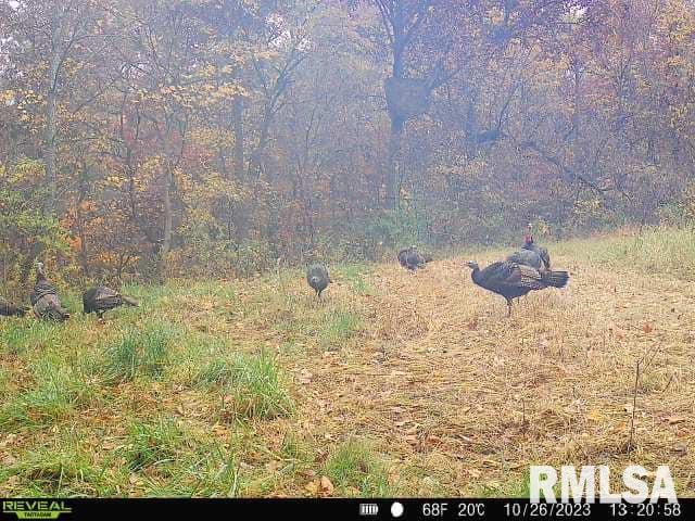 0 North Indian Trail Road Canton, IL 61520 - Photo 48 of 100