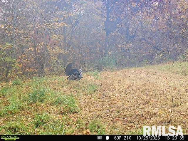 0 North Indian Trail Road Canton, IL 61520 - Photo 50 of 100
