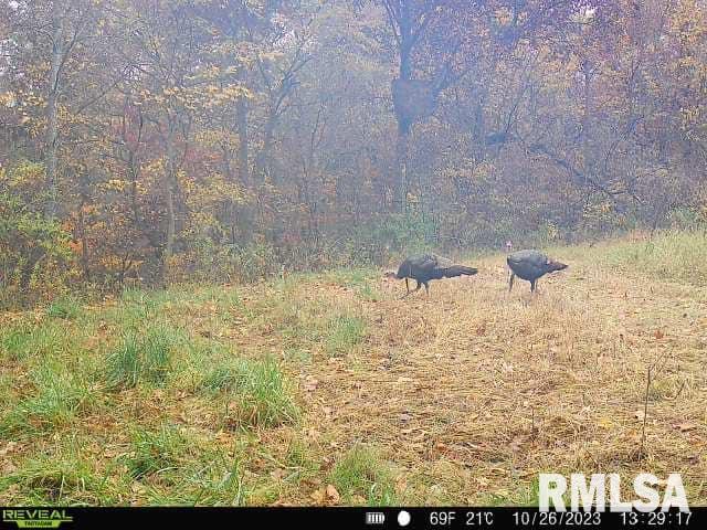 0 North Indian Trail Road Canton, IL 61520 - Photo 51 of 100