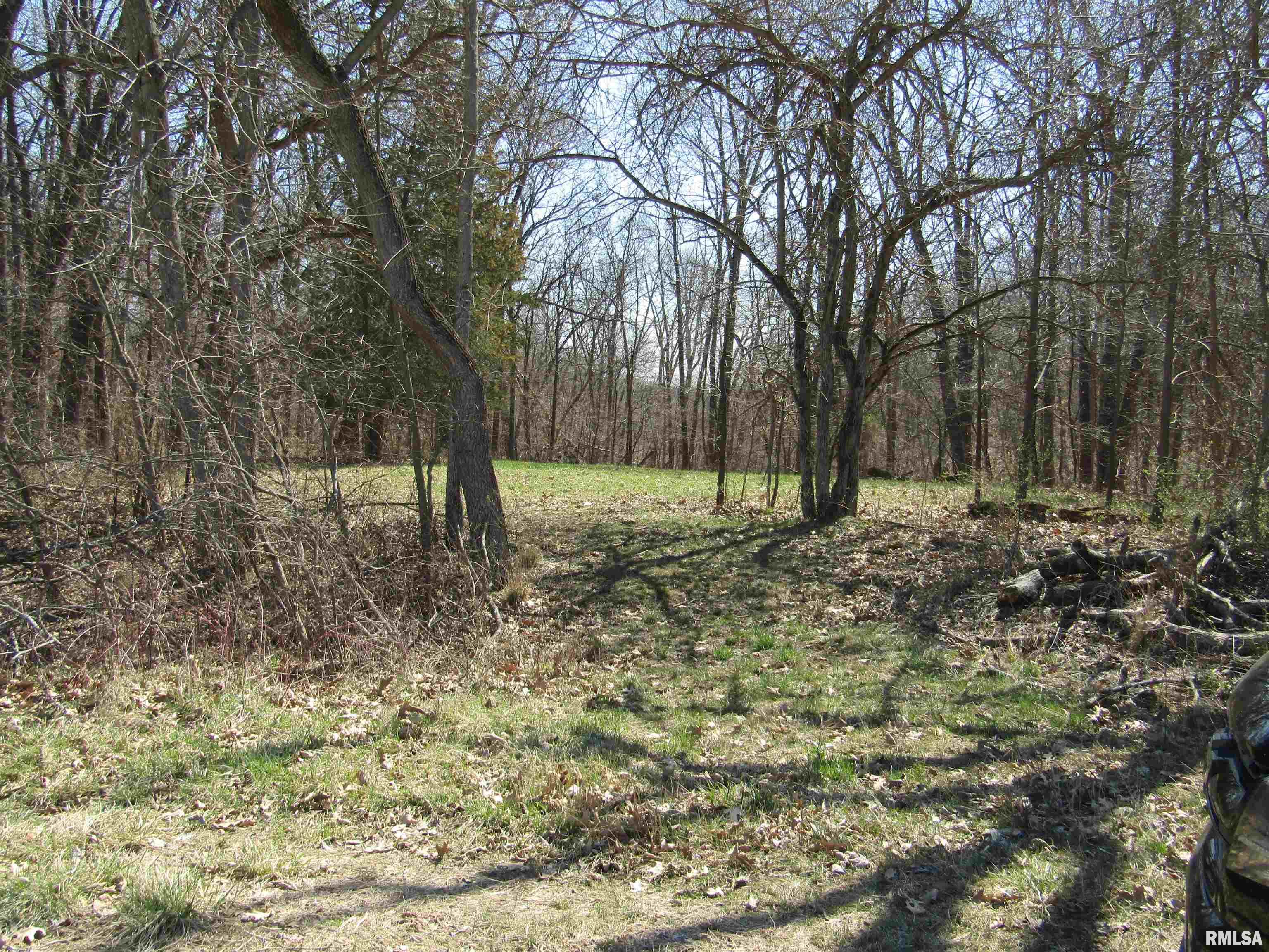 0 North Indian Trail Road Canton, IL 61520 - Photo 60 of 100