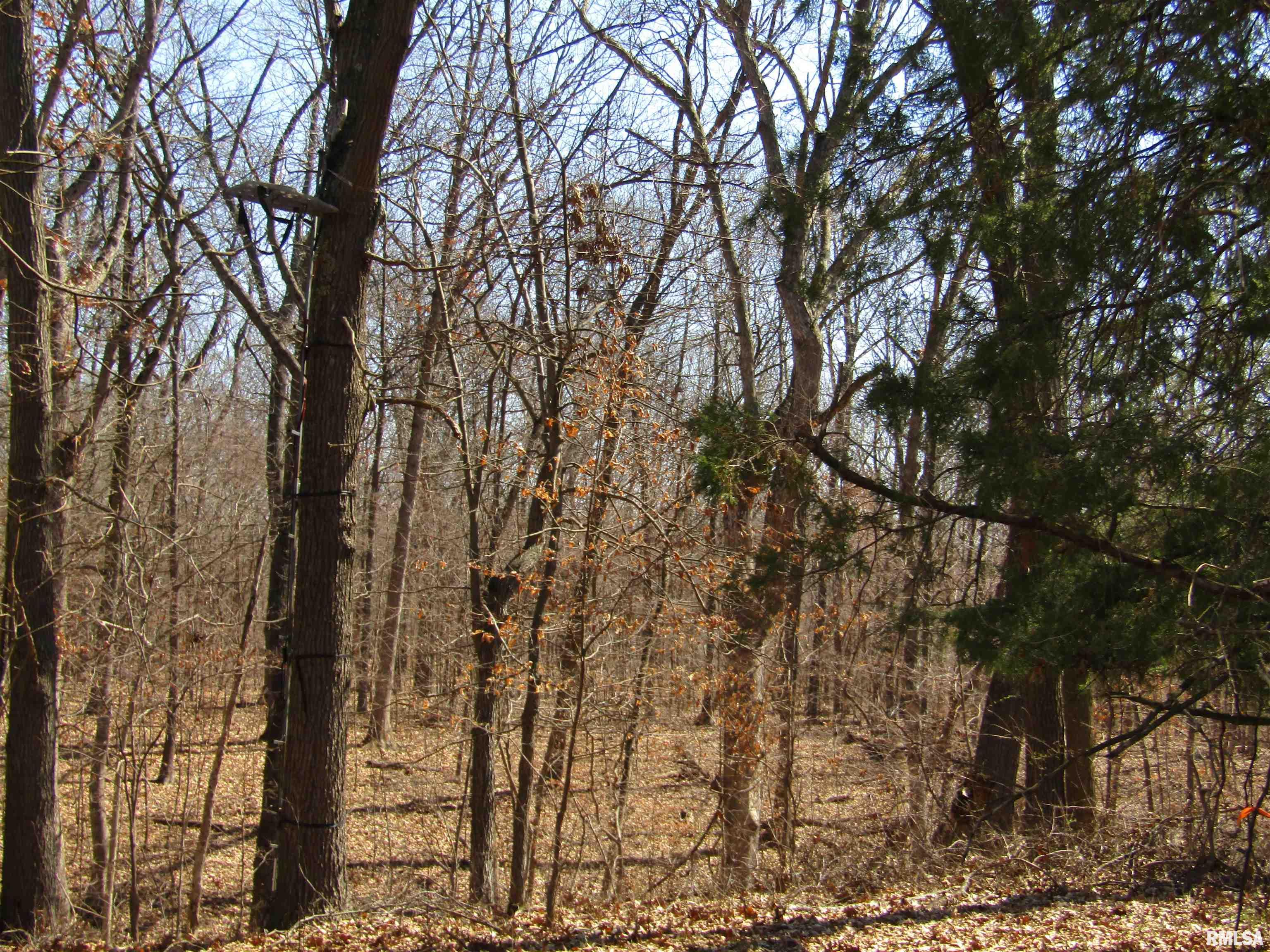 0 North Indian Trail Road Canton, IL 61520 - Photo 61 of 100