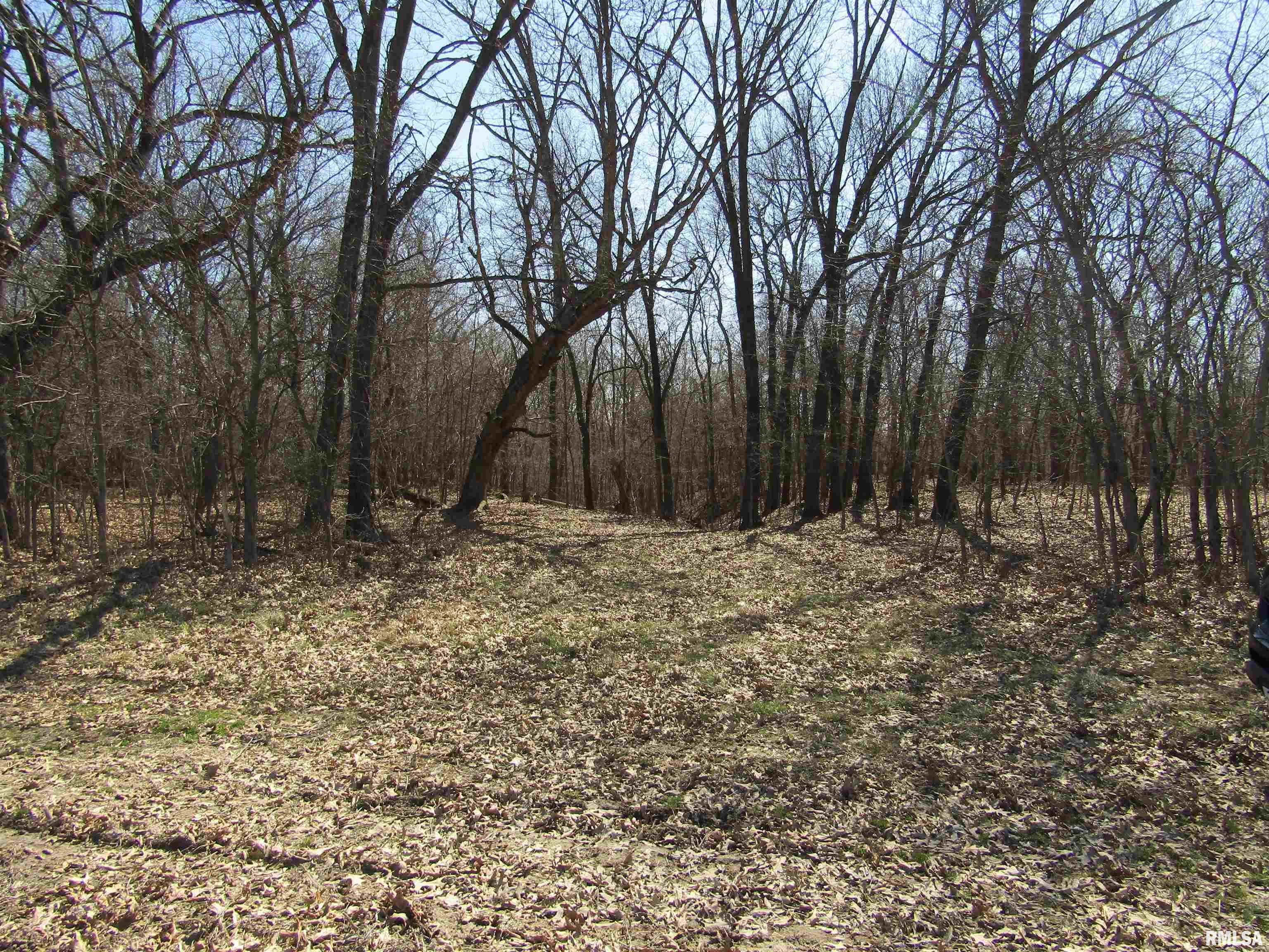 0 North Indian Trail Road Canton, IL 61520 - Photo 62 of 100