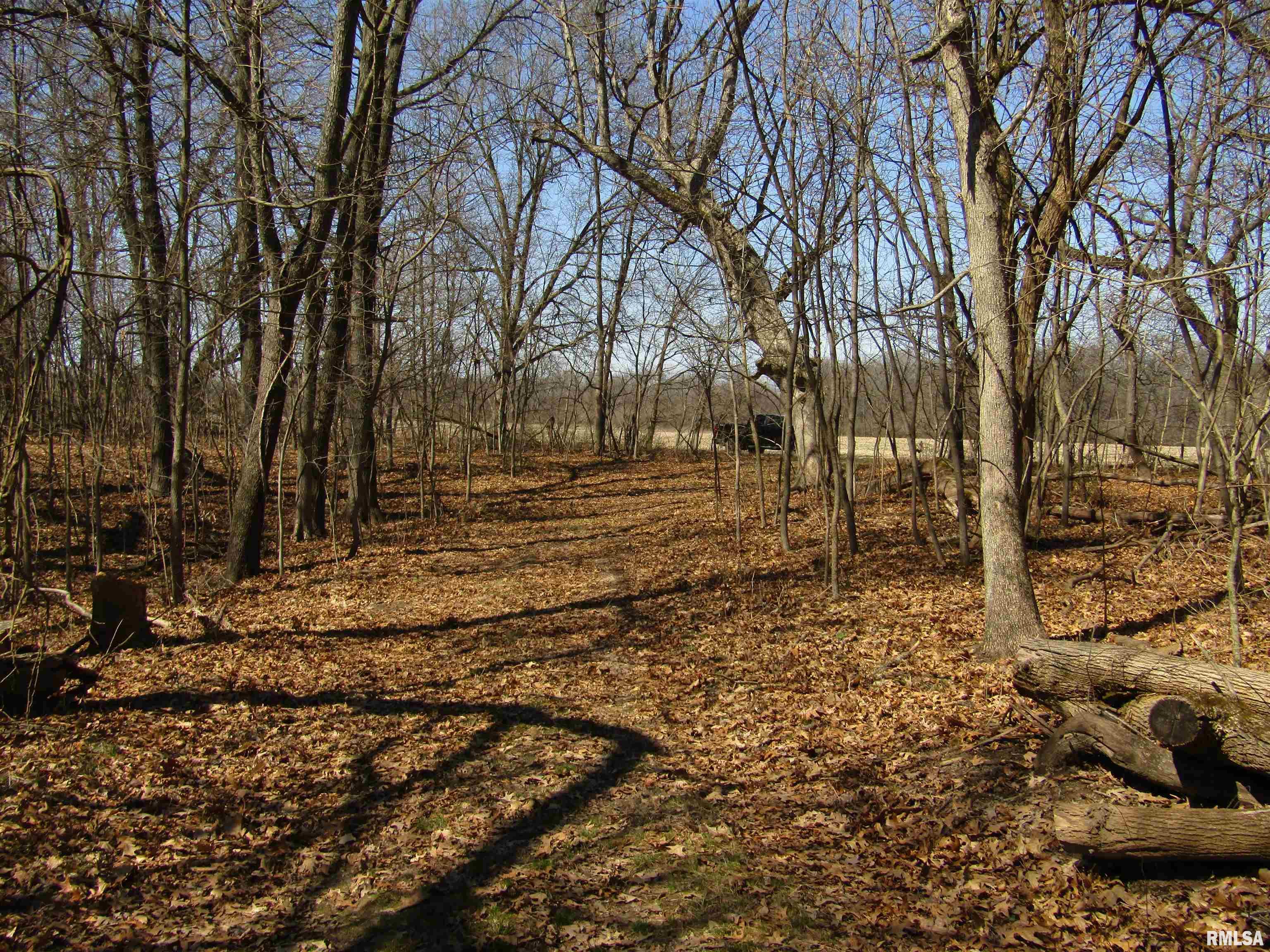 0 North Indian Trail Road Canton, IL 61520 - Photo 63 of 100