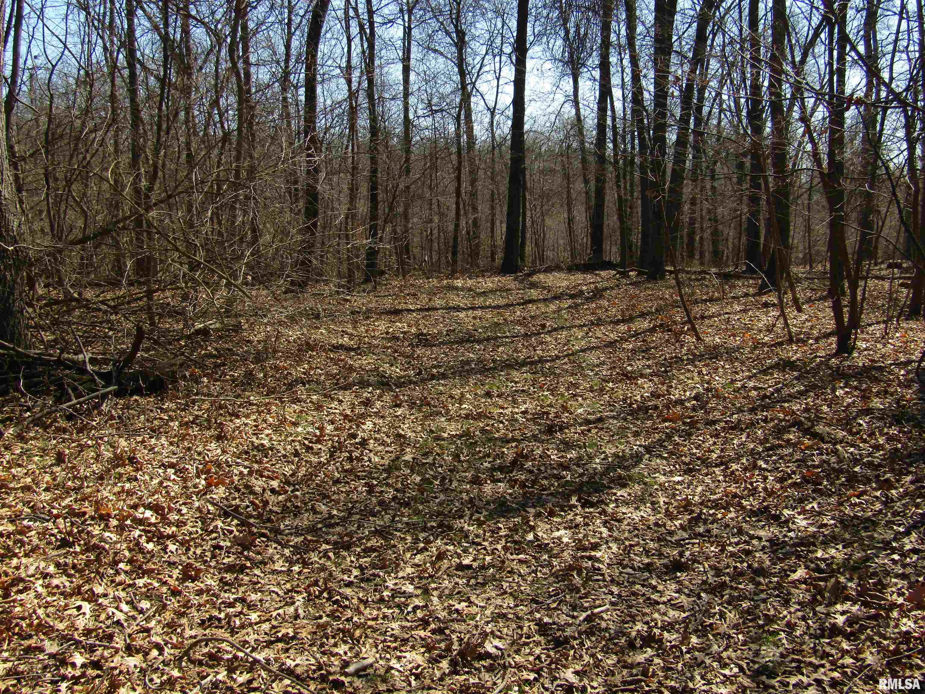 0 North Indian Trail Road Canton, IL 61520 - Photo 64 of 100