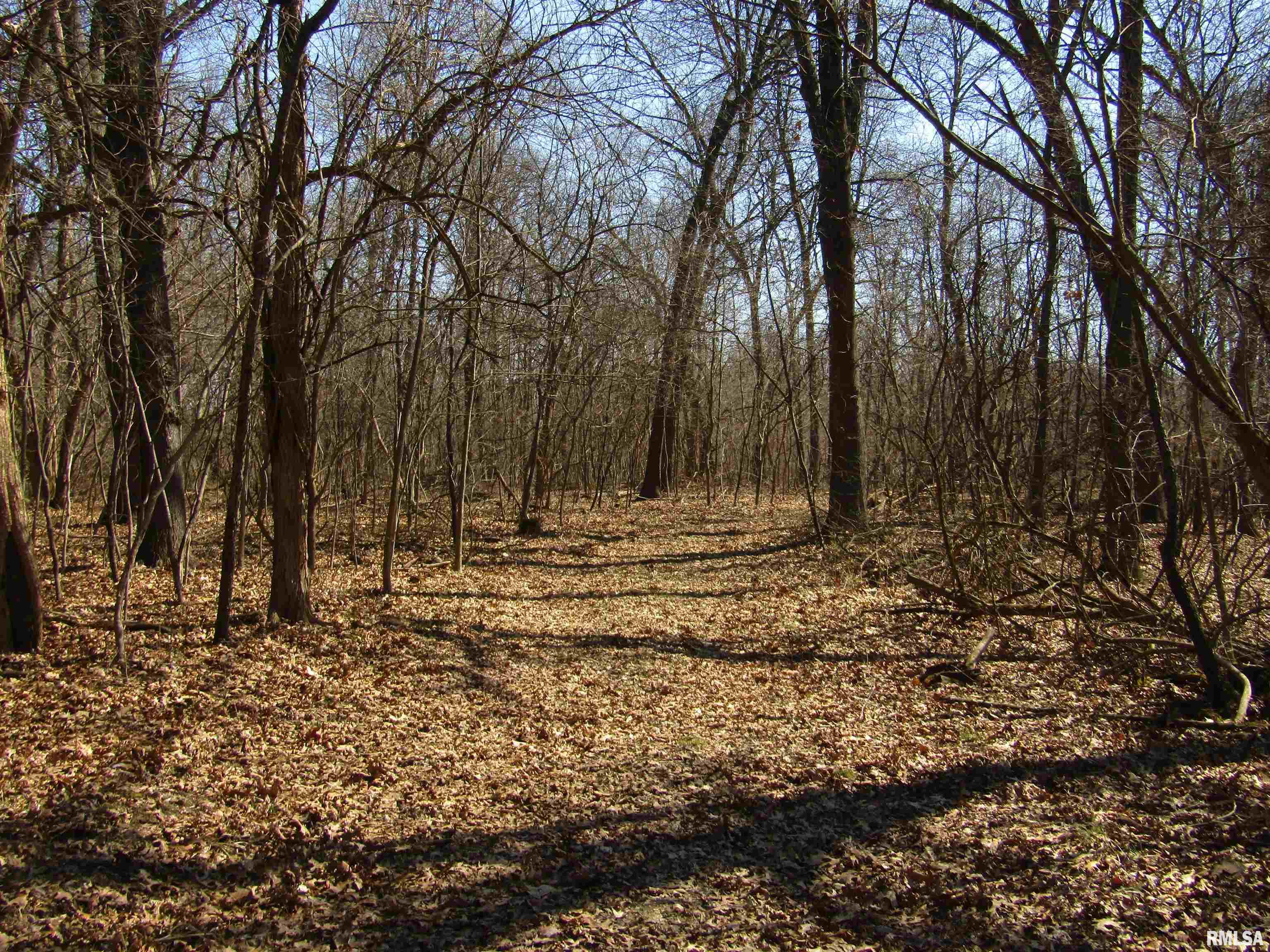 0 North Indian Trail Road Canton, IL 61520 - Photo 65 of 100
