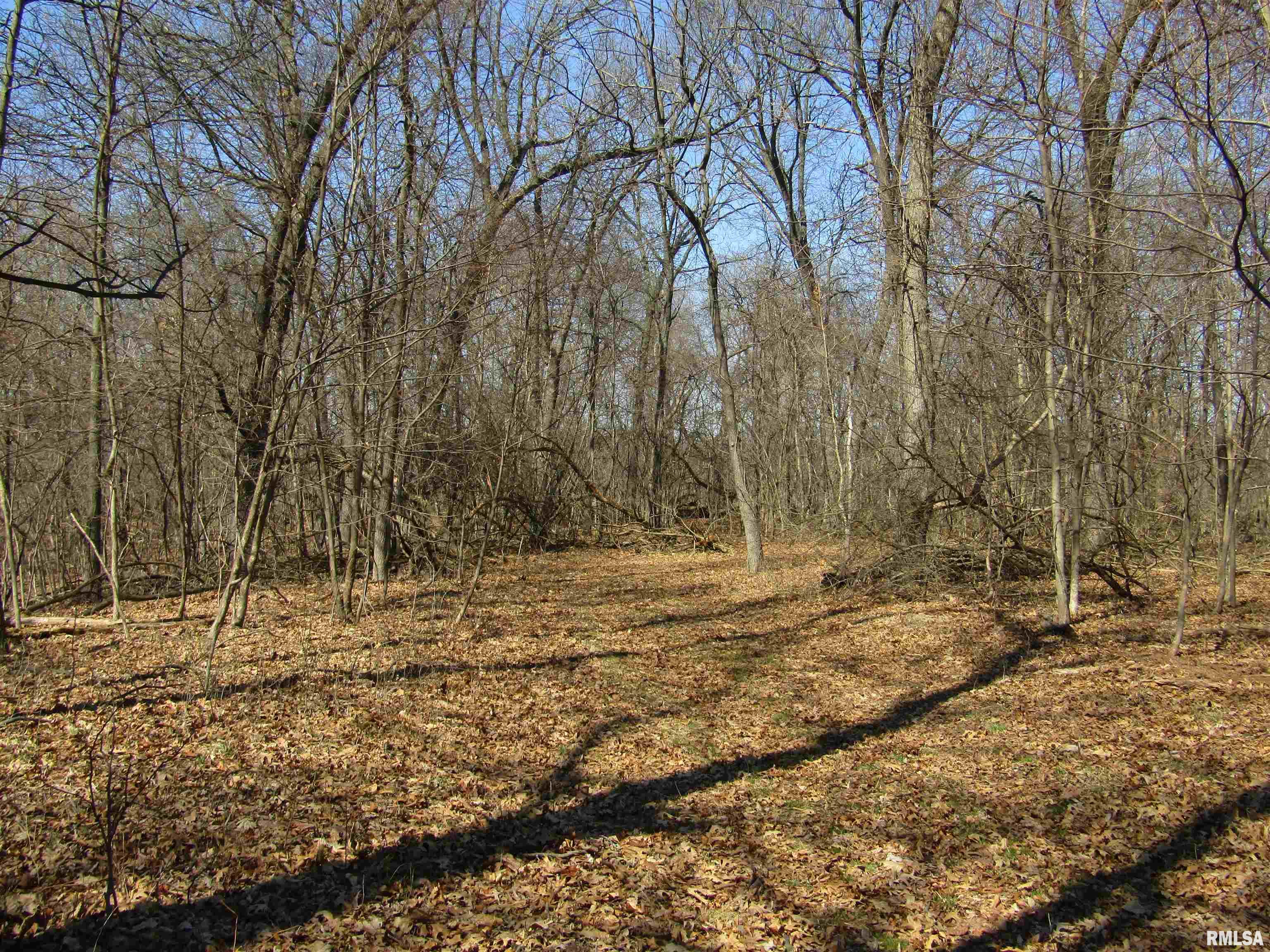 0 North Indian Trail Road Canton, IL 61520 - Photo 66 of 100