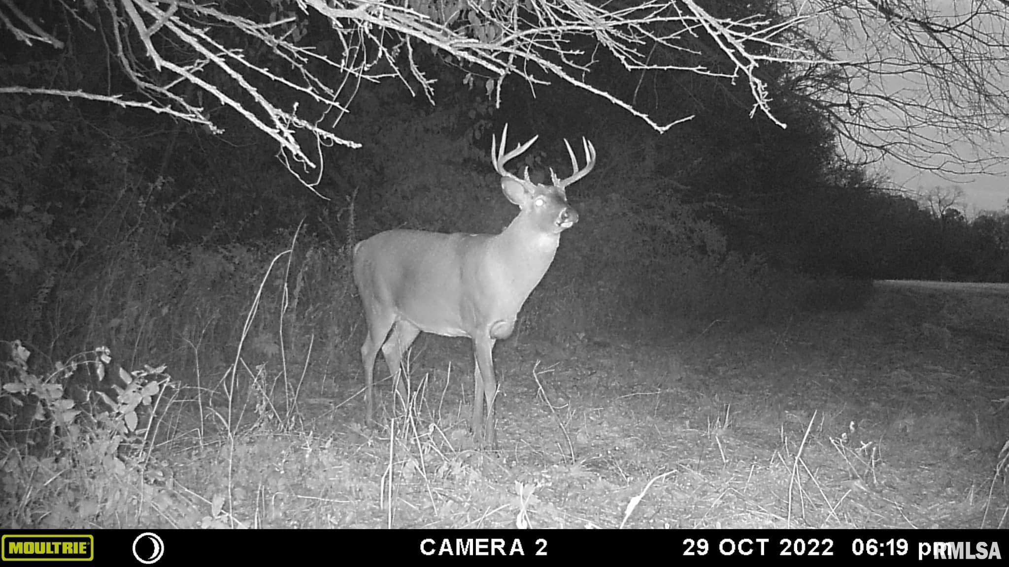 0 North Indian Trail Road Canton, IL 61520 - Photo 7 of 100