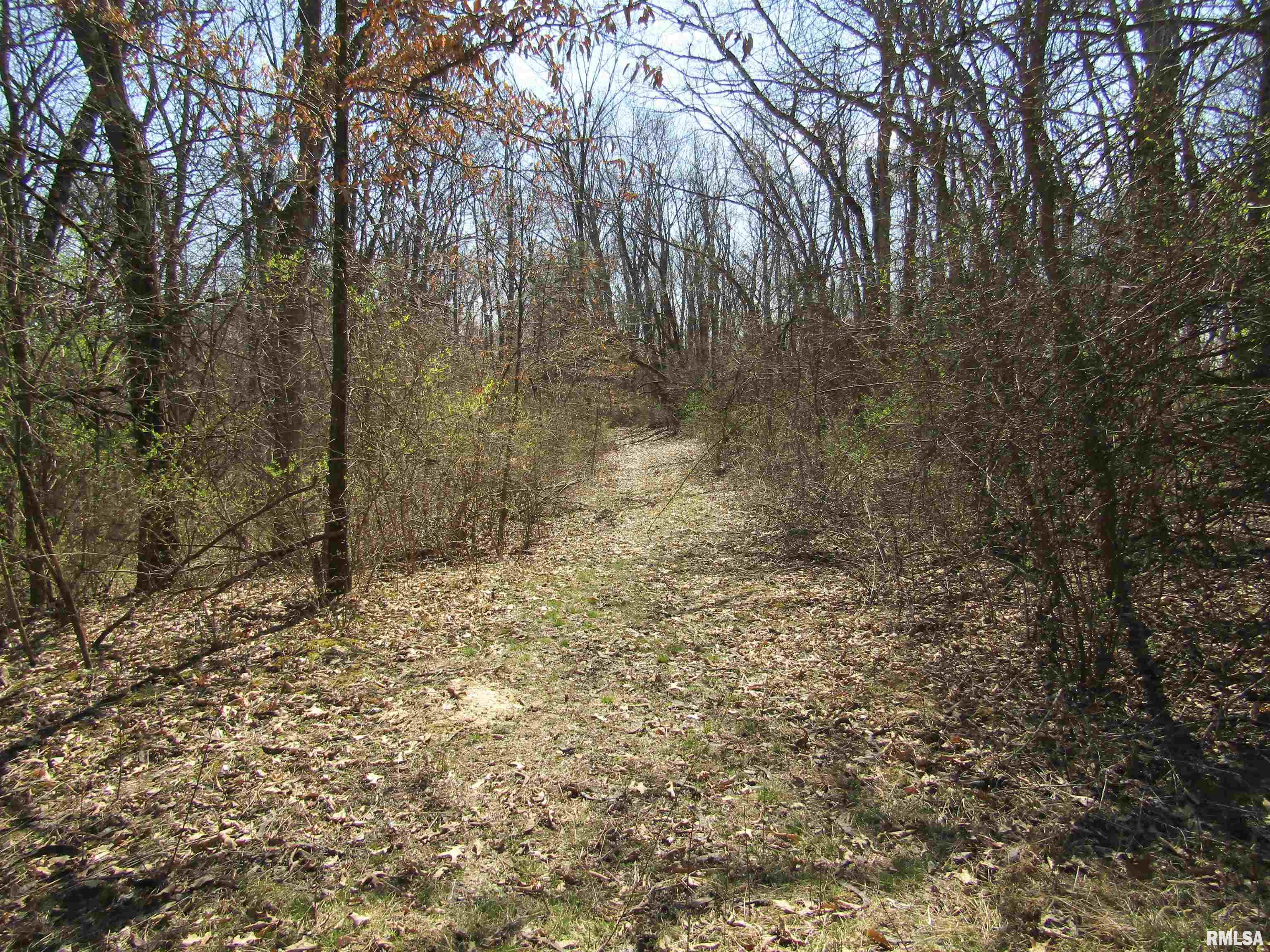 0 North Indian Trail Road Canton, IL 61520 - Photo 72 of 100