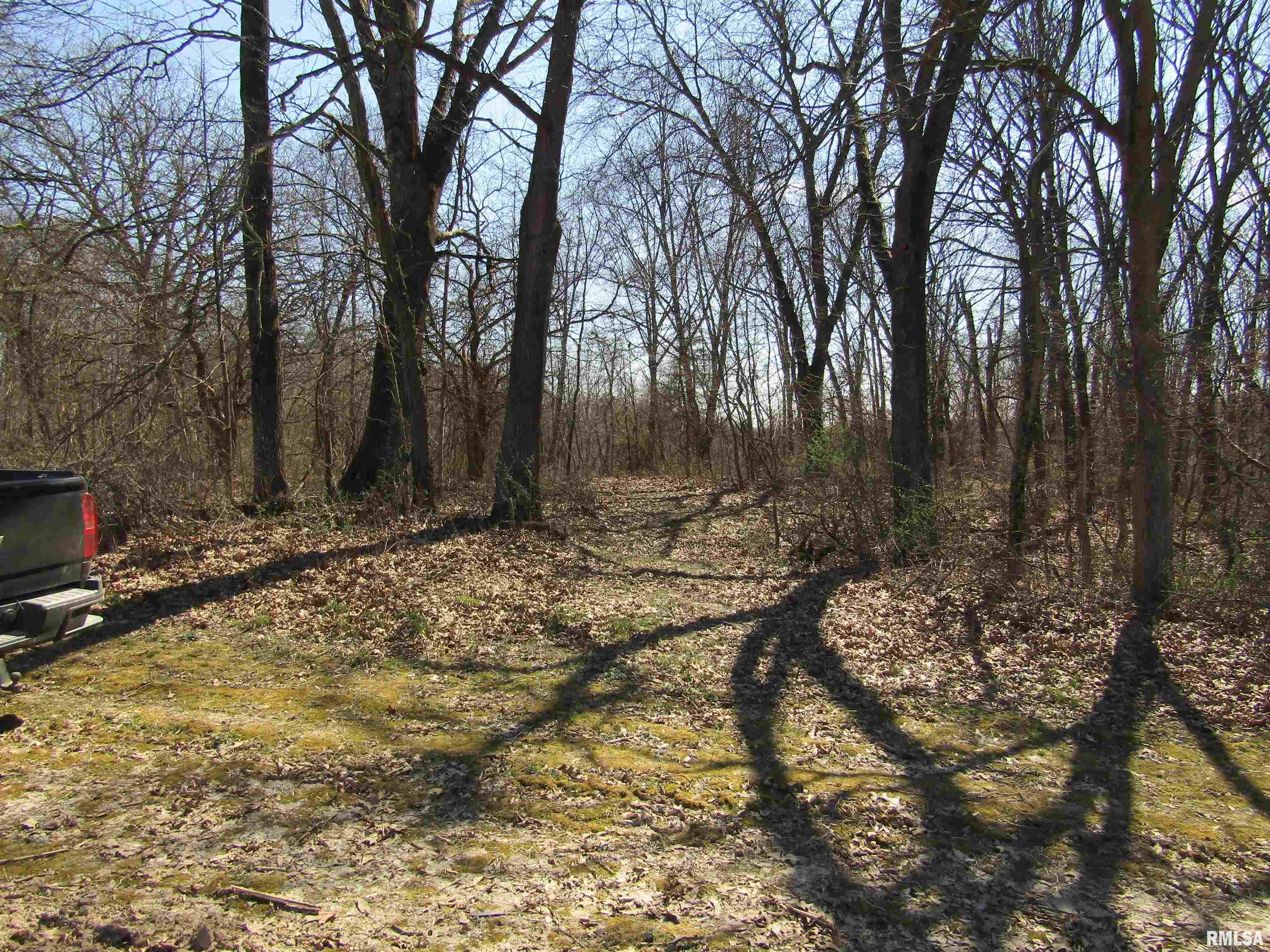 0 North Indian Trail Road Canton, IL 61520 - Photo 77 of 100
