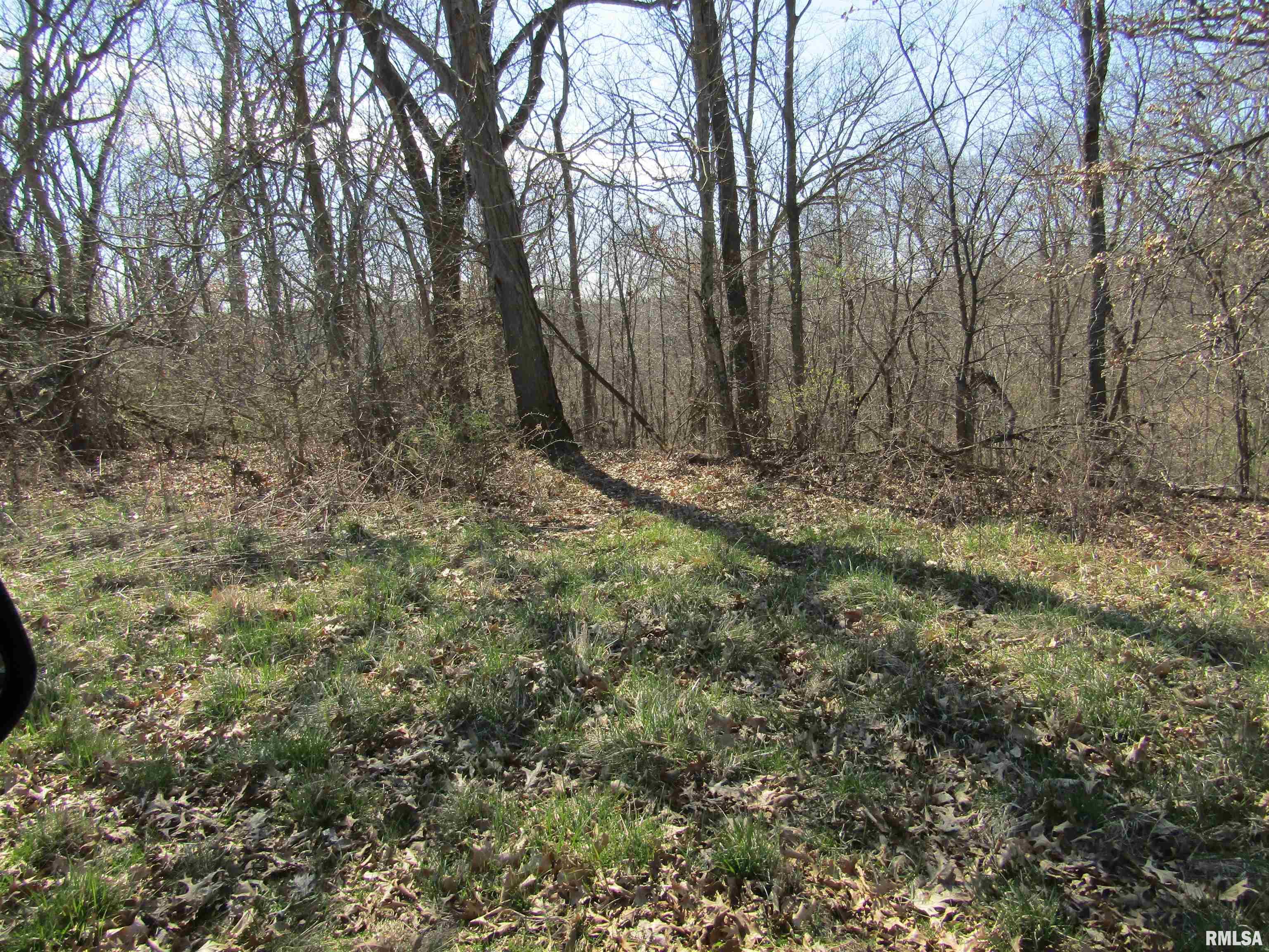 0 North Indian Trail Road Canton, IL 61520 - Photo 78 of 100