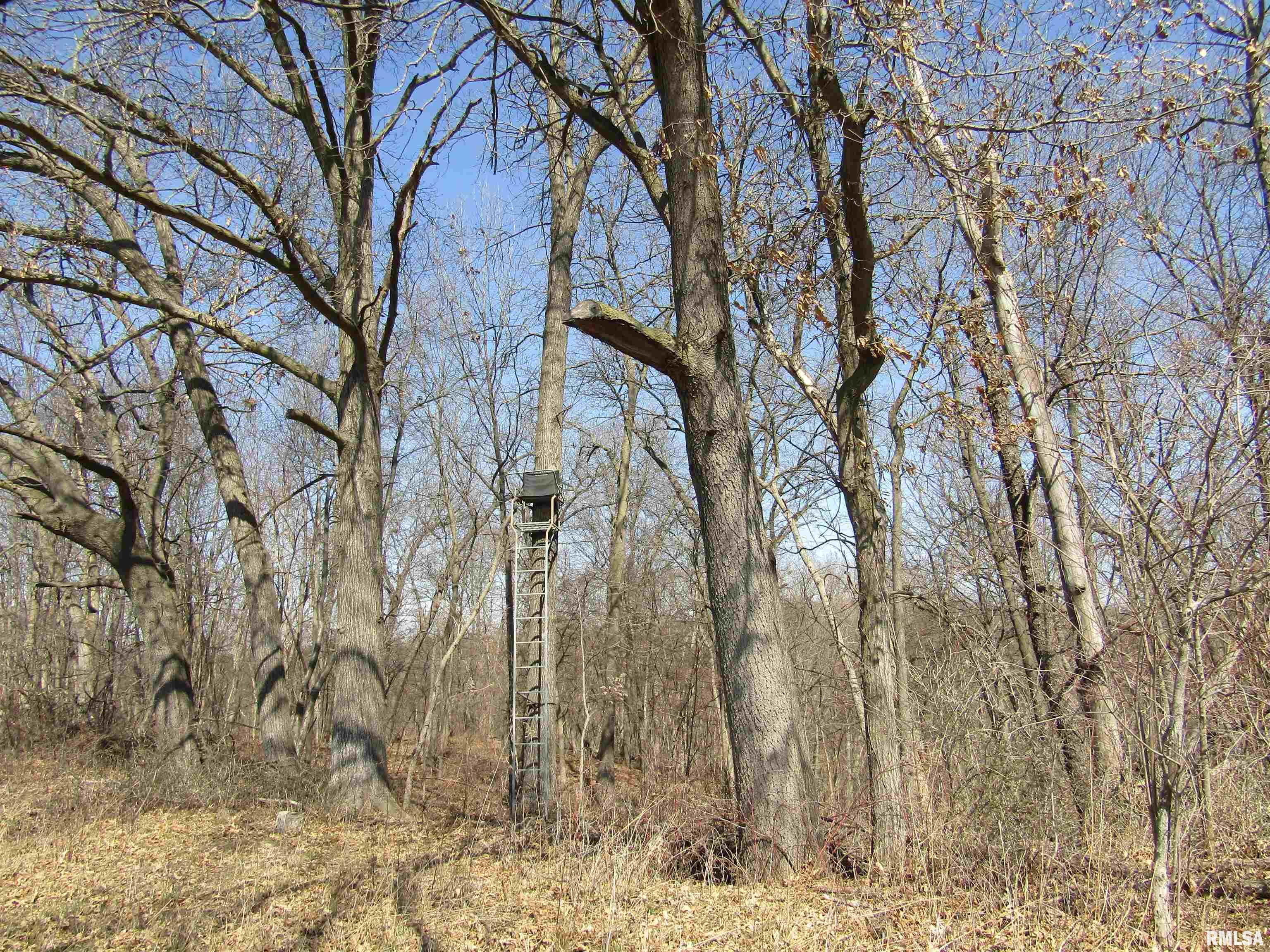 0 North Indian Trail Road Canton, IL 61520 - Photo 79 of 100