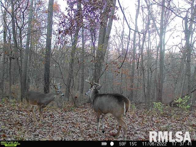 0 North Indian Trail Road Canton, IL 61520 - Photo 8 of 100
