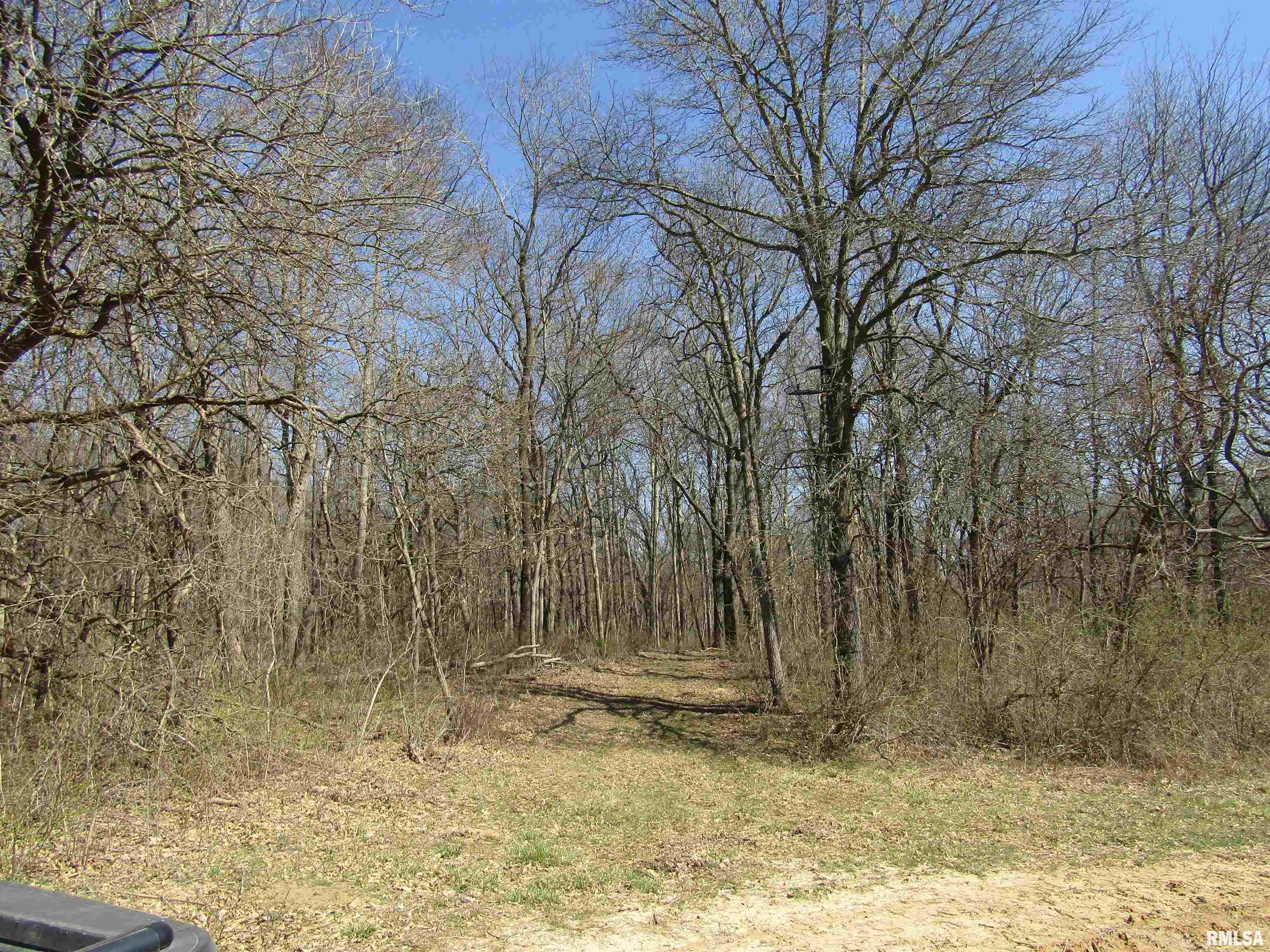 0 North Indian Trail Road Canton, IL 61520 - Photo 81 of 100