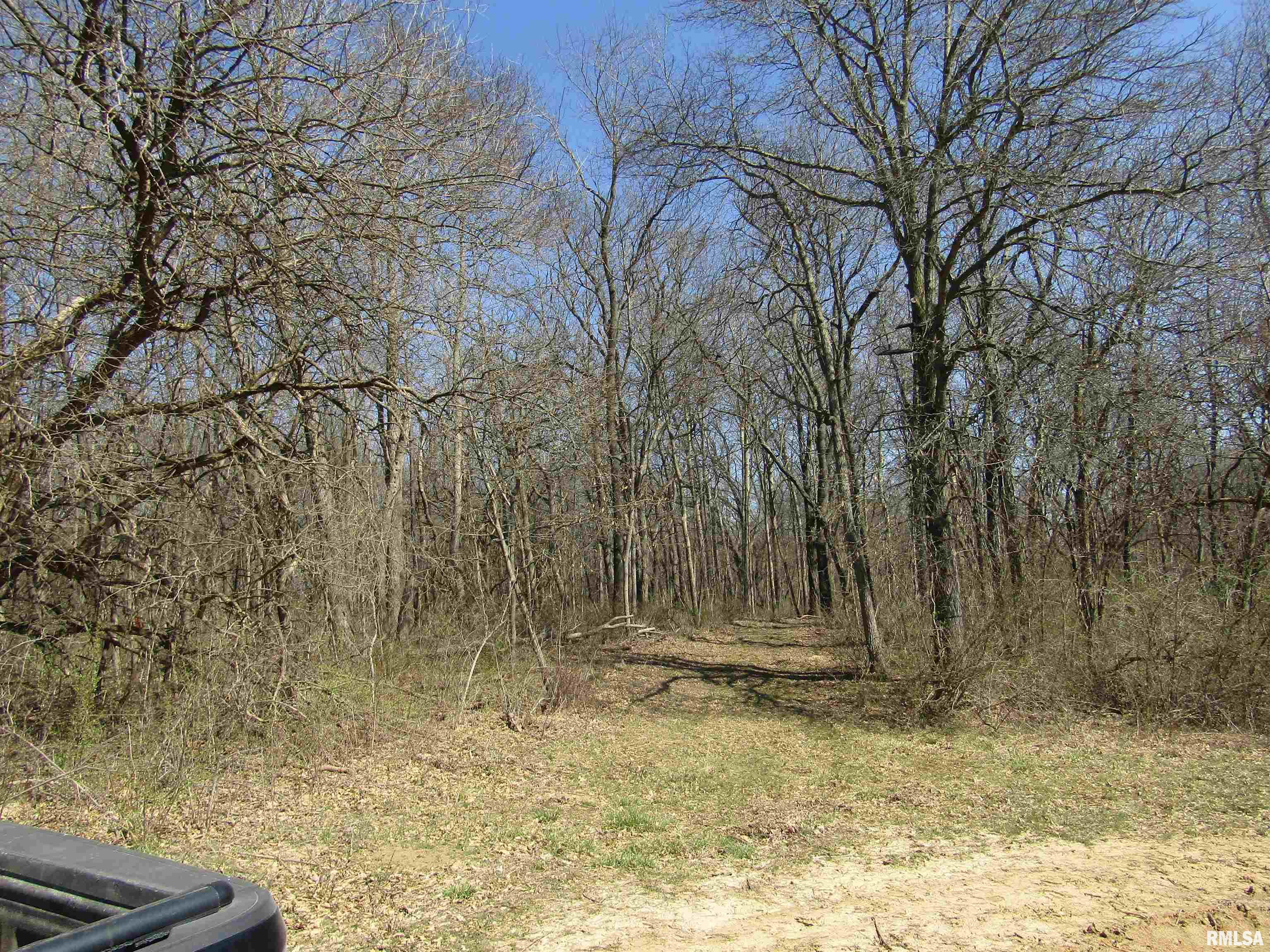 0 North Indian Trail Road Canton, IL 61520 - Photo 82 of 100