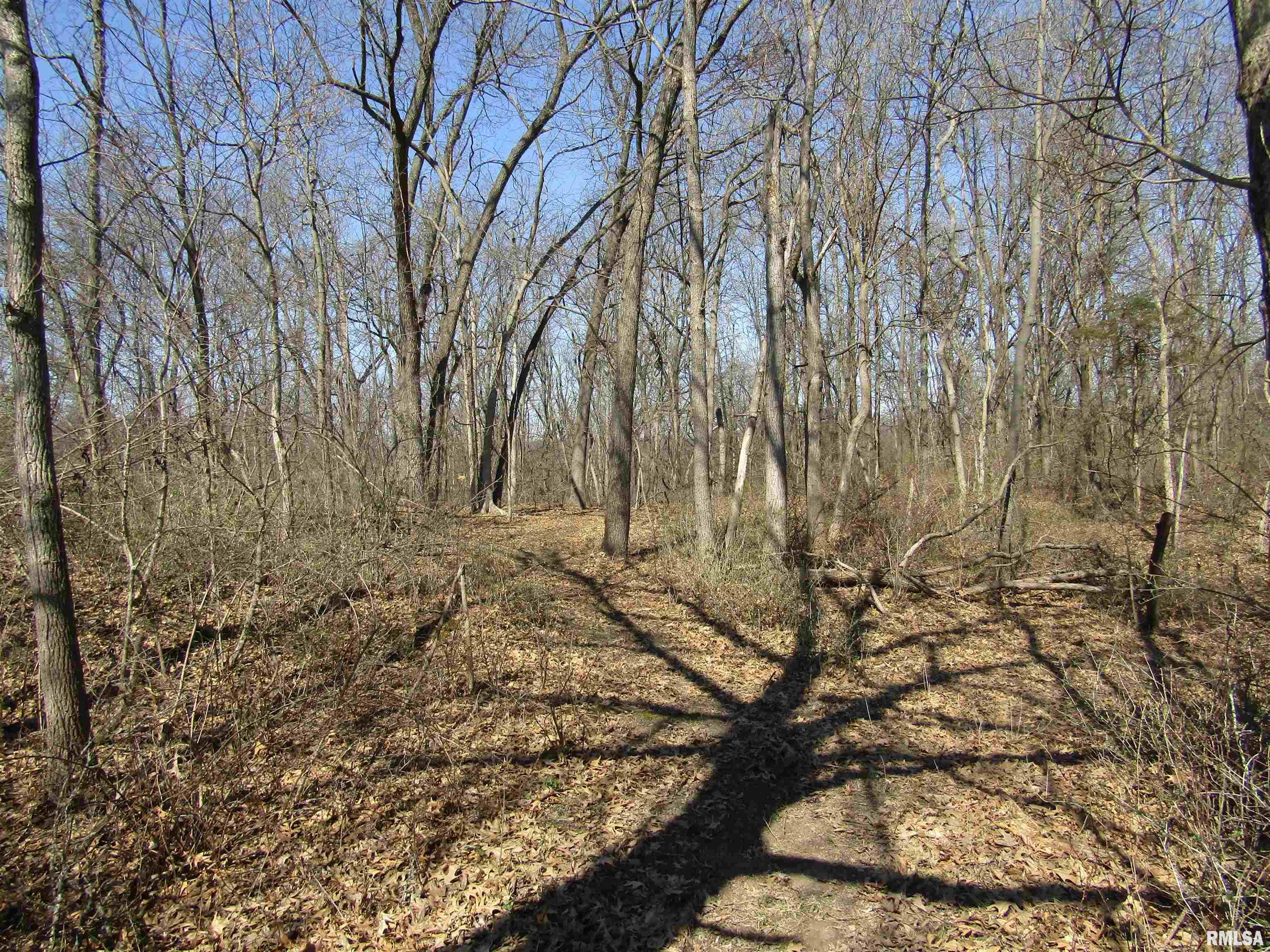 0 North Indian Trail Road Canton, IL 61520 - Photo 83 of 100