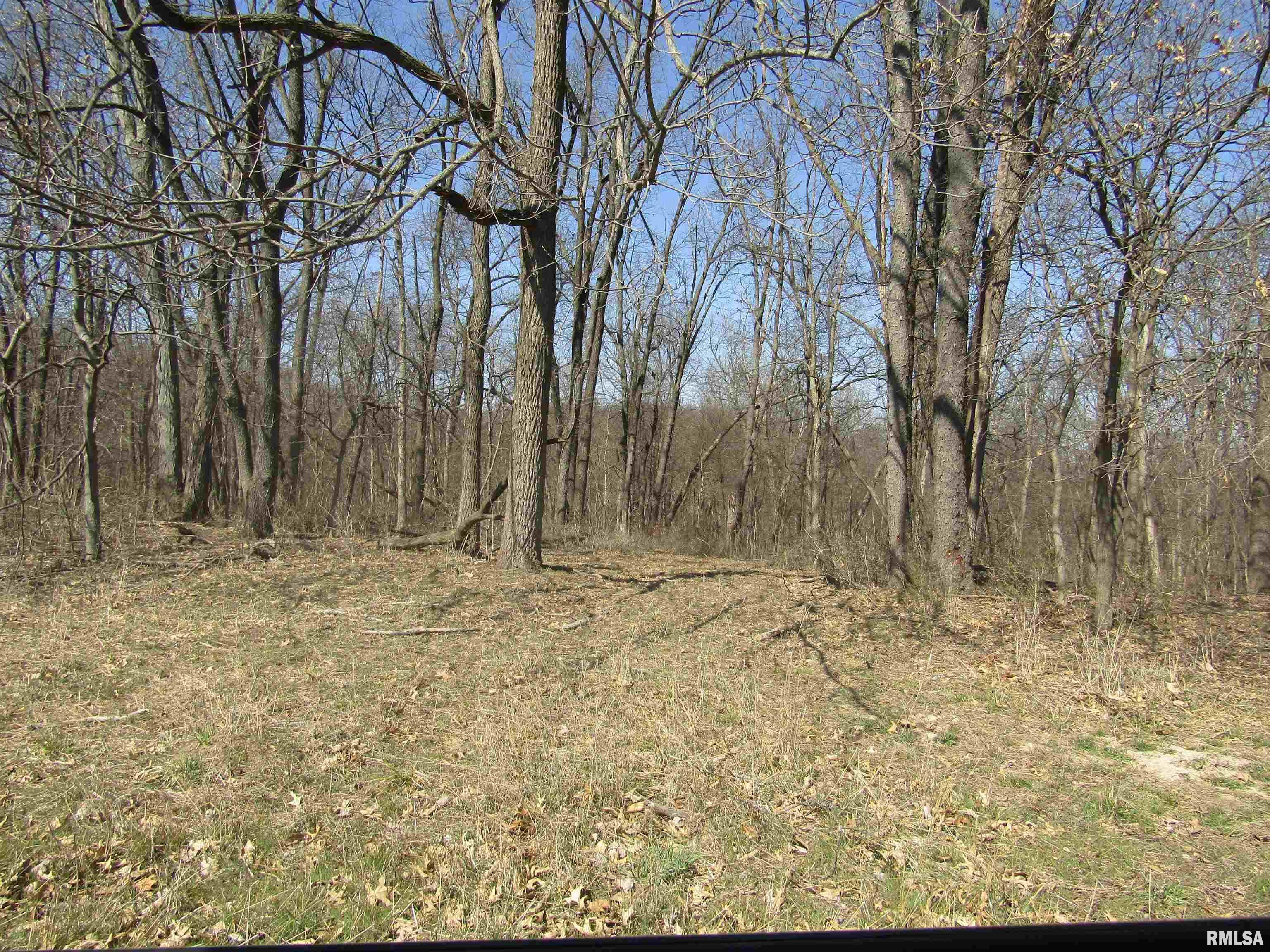 0 North Indian Trail Road Canton, IL 61520 - Photo 84 of 100