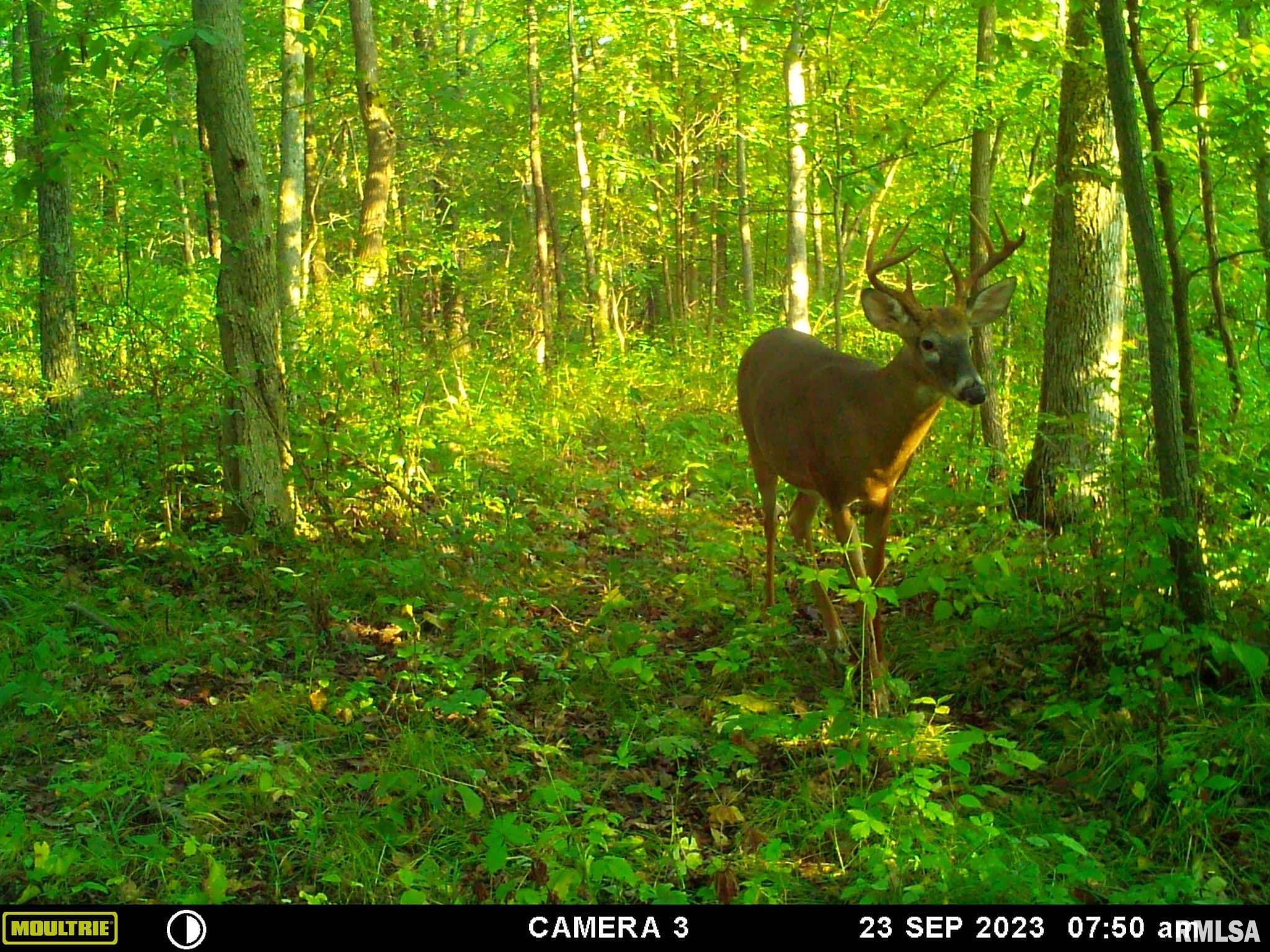 0 North Indian Trail Road Canton, IL 61520 - Photo 10 of 100