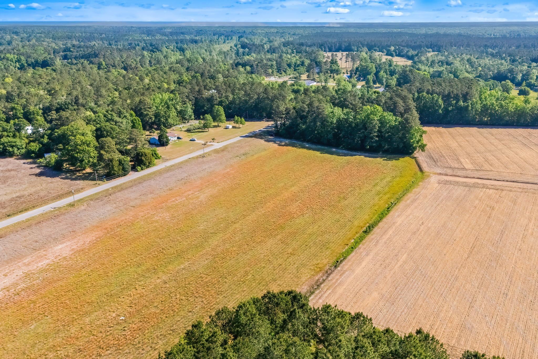 Tbd Ray Road Hemingway, SC 29554 - Photo 21 of 24