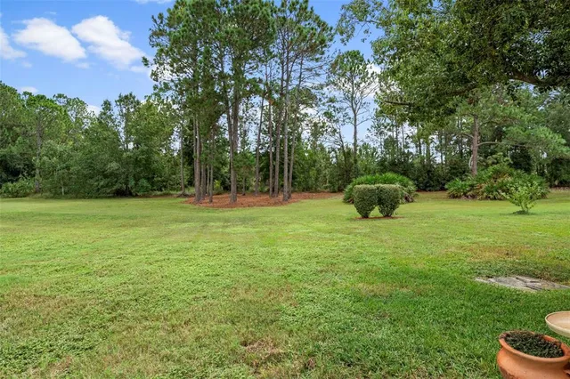 a view of a garden with flowers and trees