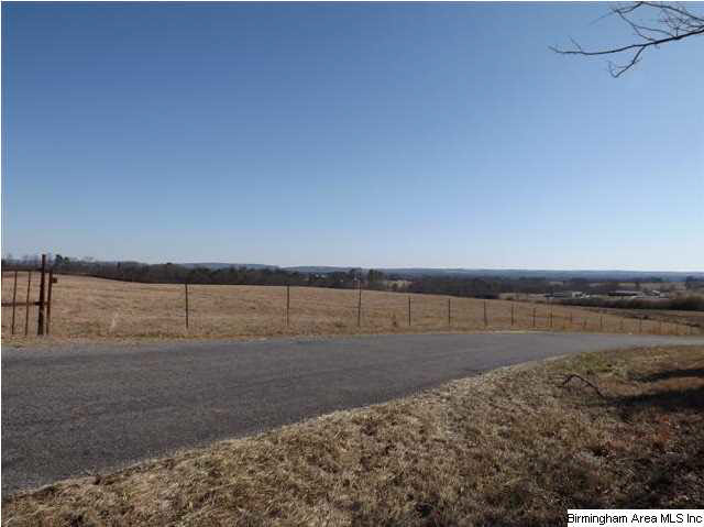 New Prospect Church Road, Unit 16 Horton, AL 35980 - Photo 15 of 20